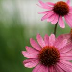 猫咪网址 5otfbii3