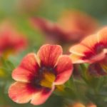 快手网页版下载 u3wvjj83q